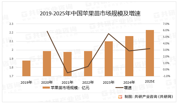 2019-2025年中国苹果苗市场规模及增速