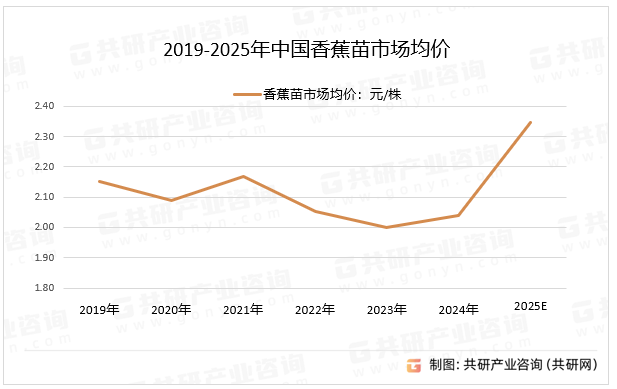 2019-2025年中国香蕉苗市场均价