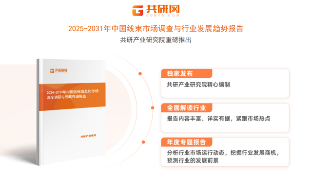 共研产业研究院通过对公开信息分析、业内资深人士和相关企业高管的深度访谈，以及分析师专业性判断和评价撰写了《2025-2031年中国线束市场调查与行业发展趋势报告》。本报告为线束企业决策人及投资者提供了重要参考依据。