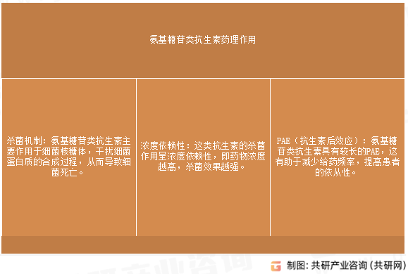 氨基糖苷类抗生素药理作用