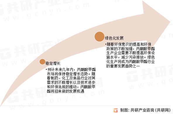 丙酮酸甲酯市场发展趋势