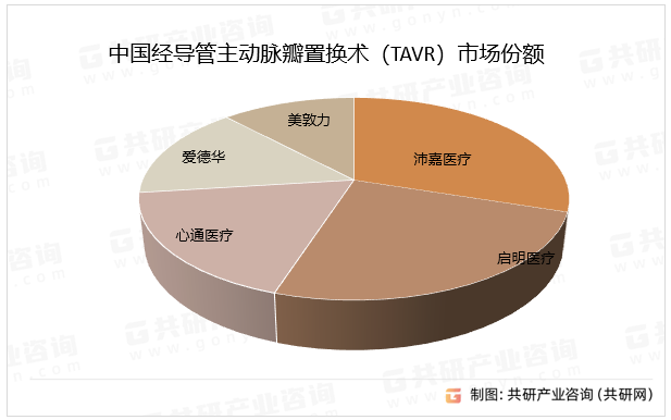 中国经导管主动脉瓣置换术（TAVR）市场份额