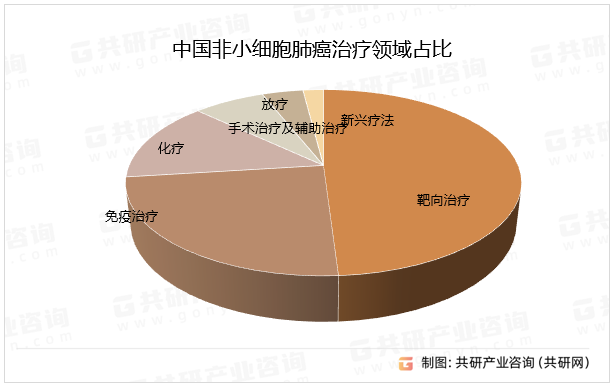 中国非小细胞肺癌治疗领域占比
