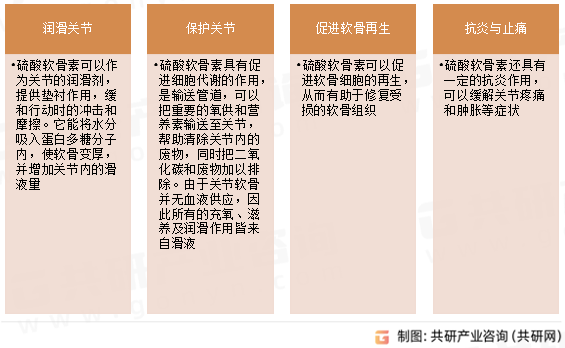 硫酸软骨素（CS）功能