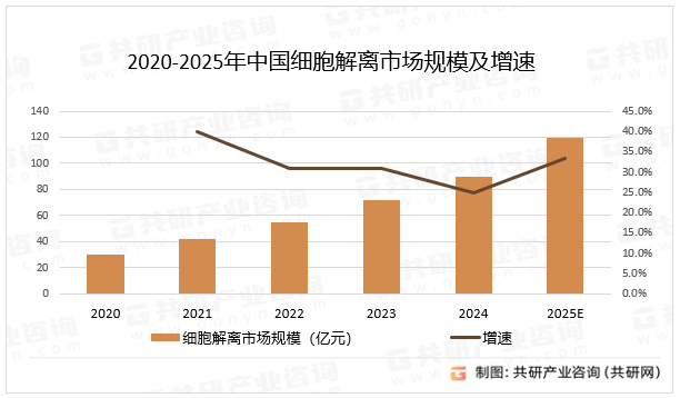 2020-2025年中国细胞解离市场规模及增速