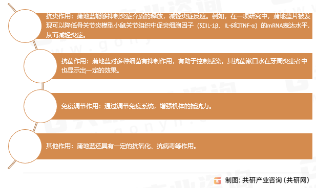 蒲地蓝主要药理作用