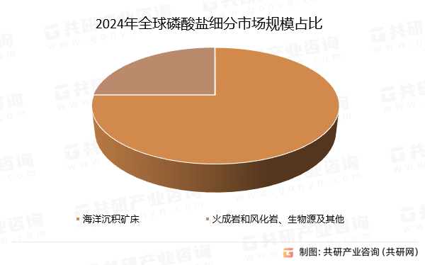 2024年全球磷酸盐细分市场规模占比