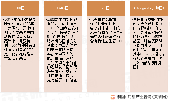益生菌酸奶菌种种类