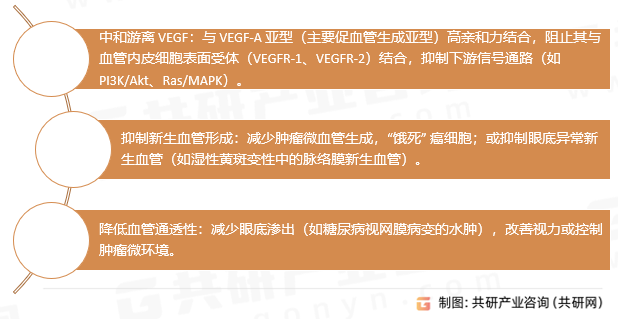 抗血管内皮生长因子作用