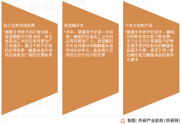 酶基食品市场发展趋势