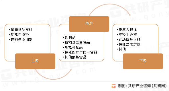 酶基食品产业链