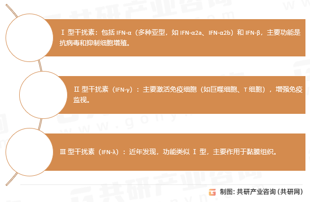 天然干扰素主要类型