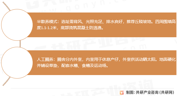 豪猪养殖模式