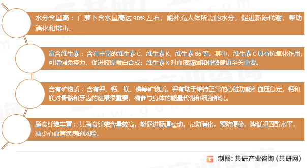 白萝卜营养价值
