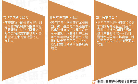 黑龙江玉米产业发展前景