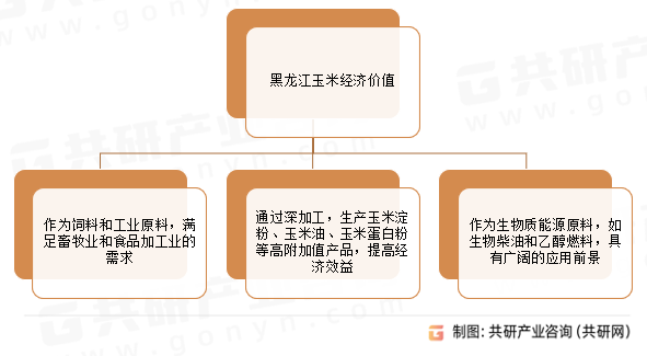 黑龙江玉米经济价值