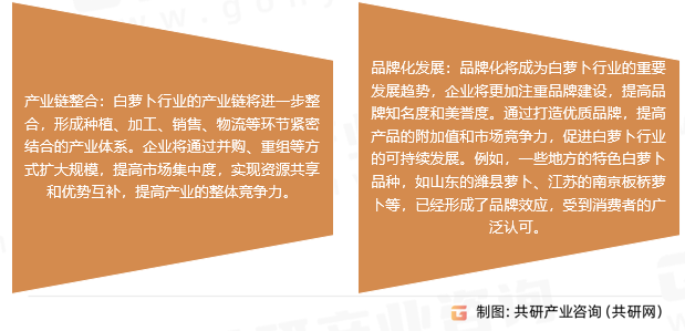 白萝卜行业发展趋势