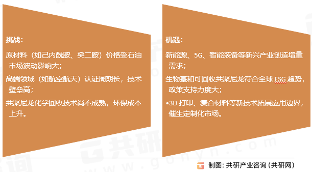 共聚尼龙挑战及机遇