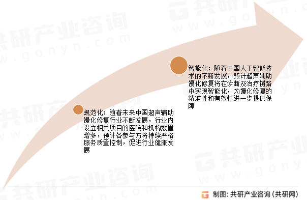 中国超声辅助馒化修复行业发展趋势