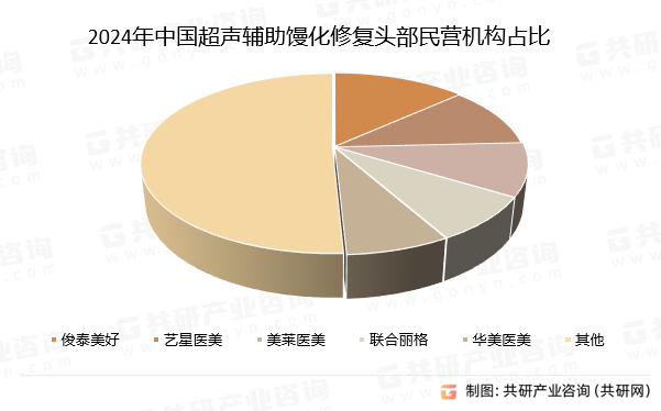2024年中国超声辅助馒化修复头部民营机构占比