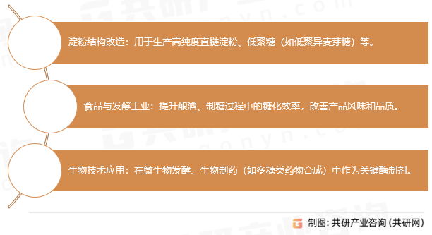 异淀粉酶功能
