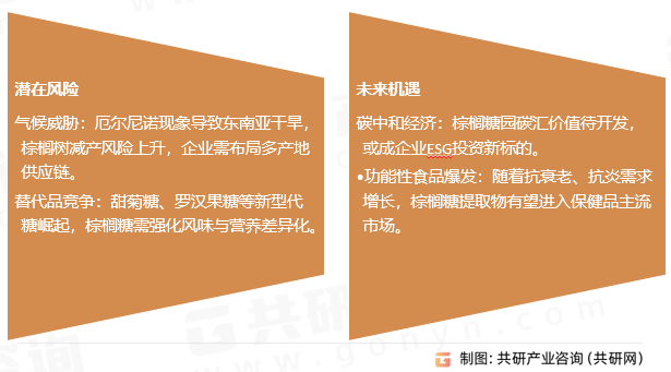 棕榈糖的风险和机遇