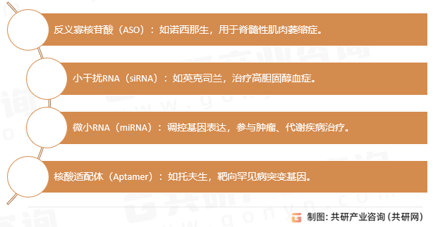 寡核苷酸API类型