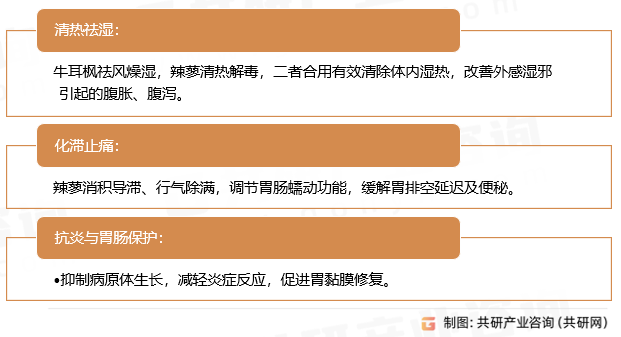枫蓼肠胃康分散片药理作用