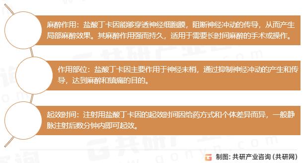 注射用盐酸丁卡因药理作用