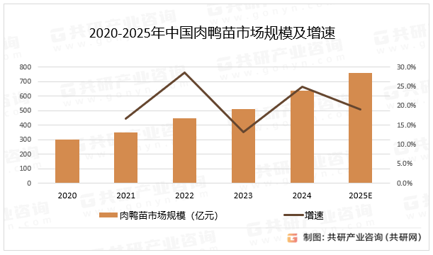 2020-2025年中国肉鸭苗市场规模及增速