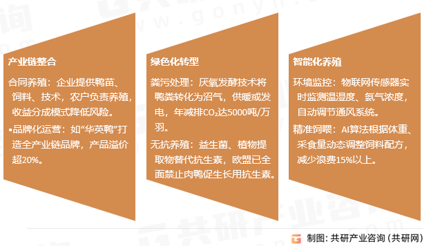 肉鸭苗行业发展趋势