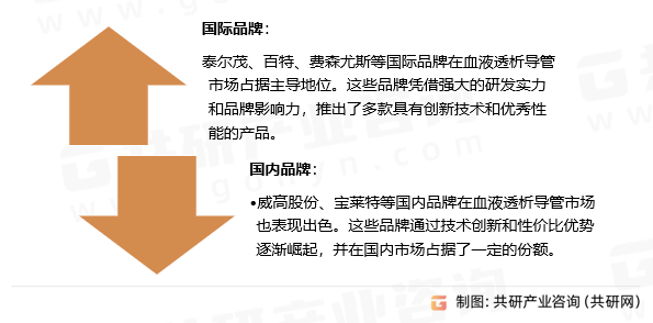 国内外竞争品牌