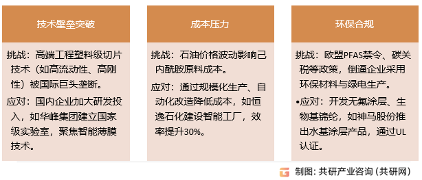 锦纶切片未来挑战与应对策略