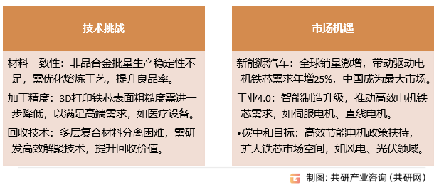 定转子铁芯挑战与机遇