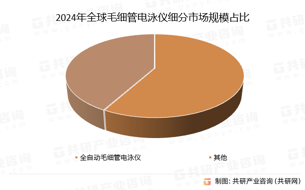 2024年全球毛细管电泳仪细分市场规模占比