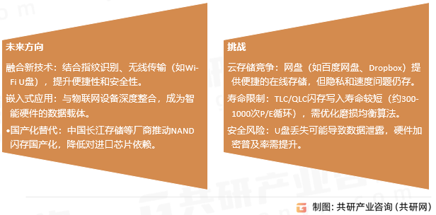 闪存盘的挑战与未来展望