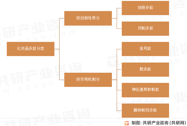 化妆品多肽分类
