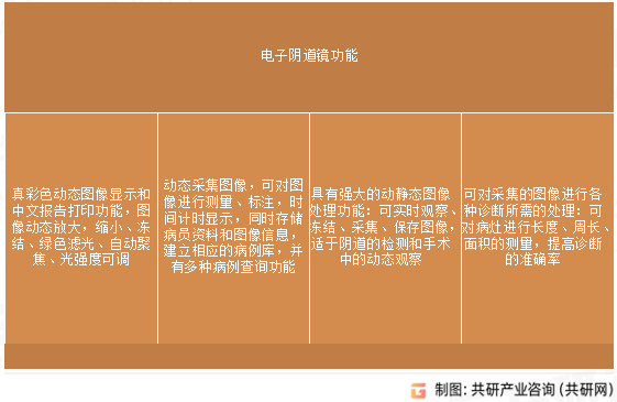 电子阴道镜功能