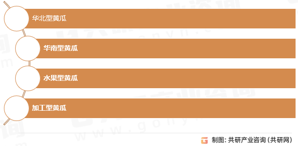 黄瓜种子种类