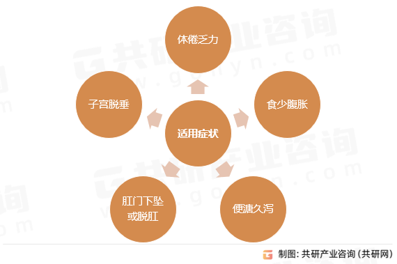 补中益气丸适用症状