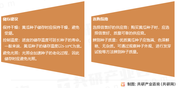 黄瓜种子选购与储存建议