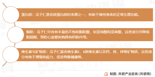 瓜子仁营养价值