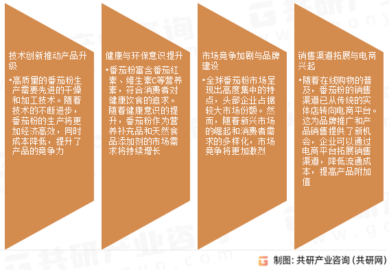 番茄粉市场发展趋势