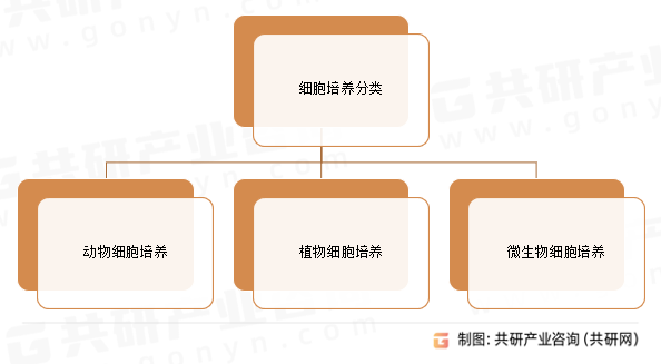 细胞培养分类