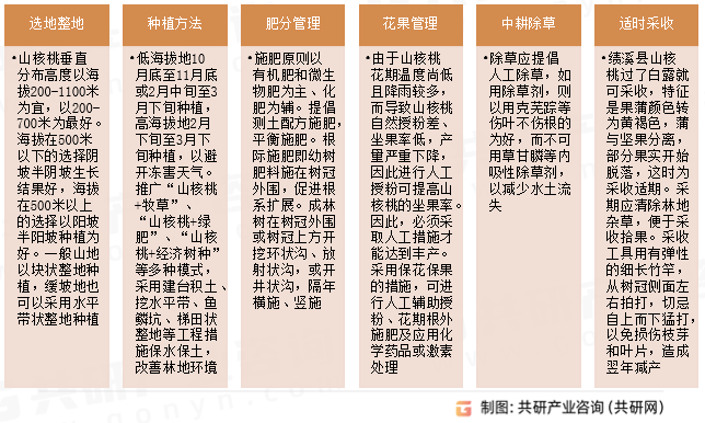 山核桃栽培技术