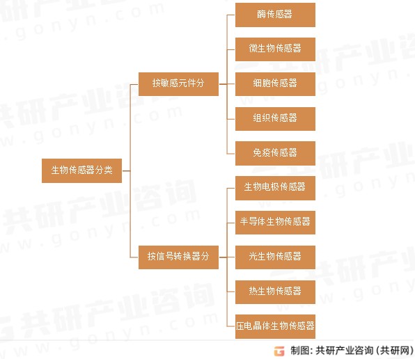 生物传感器分类