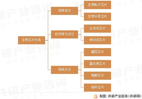 生物芯片分类