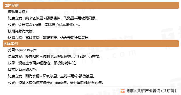 桥梁防腐案例分析与实践