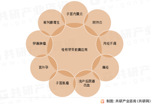 桂枝茯苓胶囊应用
