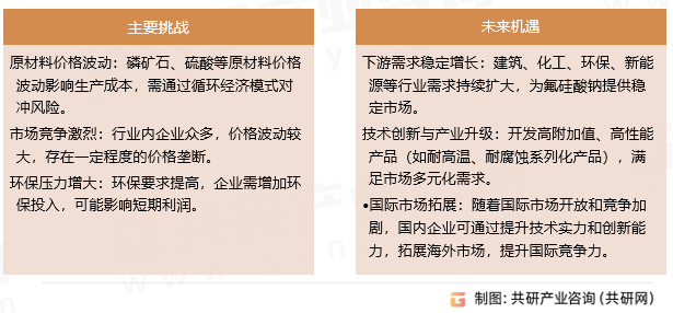 氟硅酸钠主要挑战和机遇